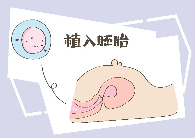 试管婴儿技术